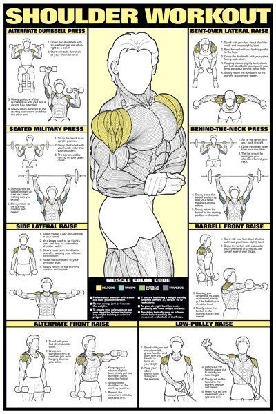 Лучшая подборка упражнений на все группы мышц! сохрани,чтобы не потерять!