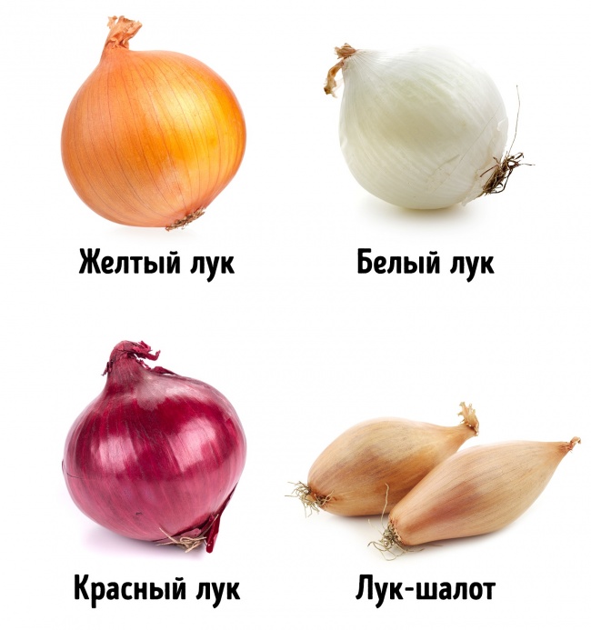 Памятка как выбрать правильные и свежие овощи Памятка как выбрать овощи