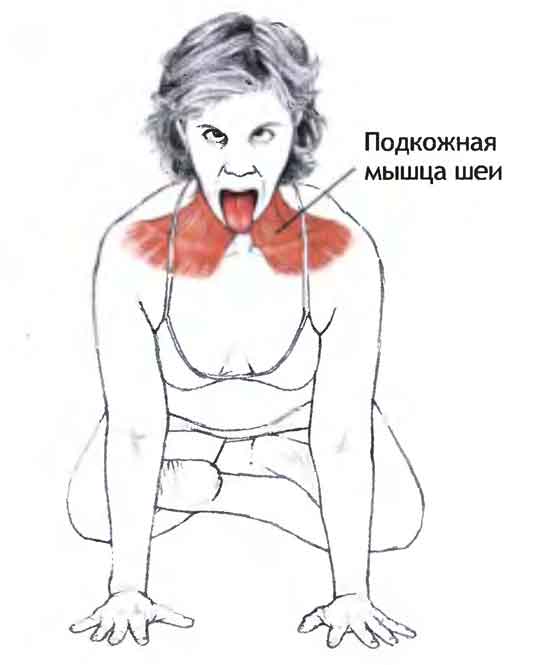 Йога от ангины Йога от ангины