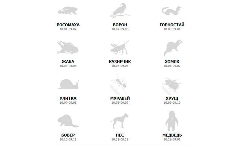 К какому животному вы относитесь по гороскопу Какое вы животное по зодиаку
