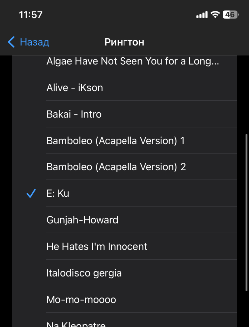 Рінгтон для iPhone без ПК. Рінгтон з YouTube або mp3 для iPhone без ПК easy-ringtone-for-iphone11.png
