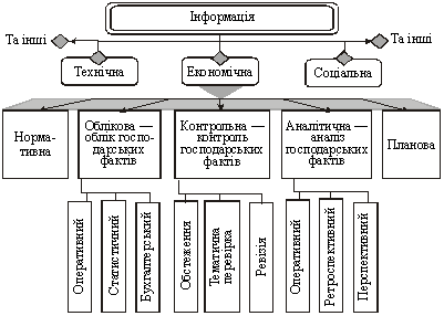 Бухгалтерський облік, контроль та аналіз господарської діяльності в системі економічної інформації