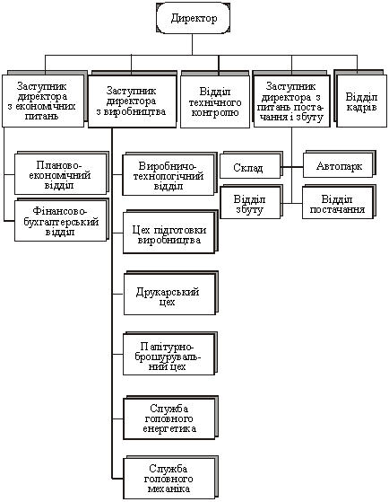 Організаційна структура підприємства