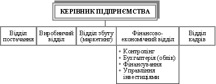 Функціональна організаційна структура підприємства