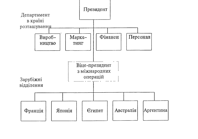  Організаційна структура на ранніх стадіях інтернаціоналізації