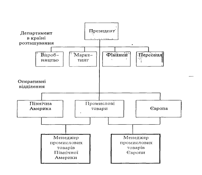 Мультинаціональна матрична структура