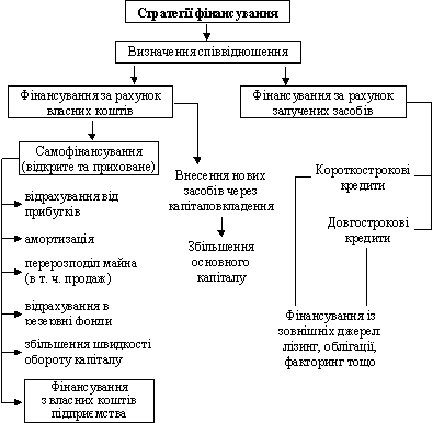 Приблизна структура стратегії фінансування