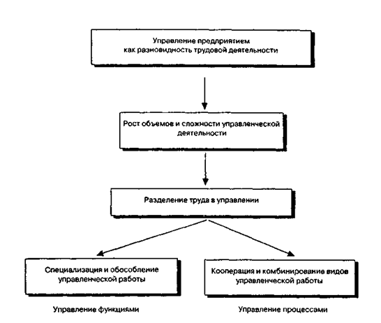 разделение труда в управлении: вертикальный и горизонтальный рост организации