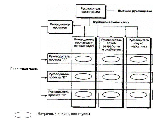 Принципиальная схема матричной организации