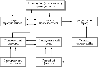 Схема взаємозв’язку працездатності і продуктивності праці