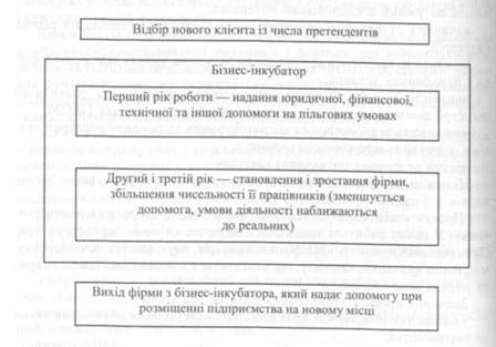 Етапи проходження через бізнес-інкубатор