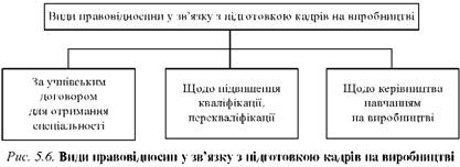 підготовка кадрів на виробництві