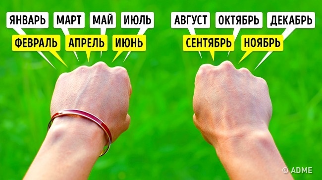 Узнать количество дней в месяце - Простые житейские хитрости Узнать количество дней в месяце - Этим хитростям нас научили еще в школе, и они до сих пор работают