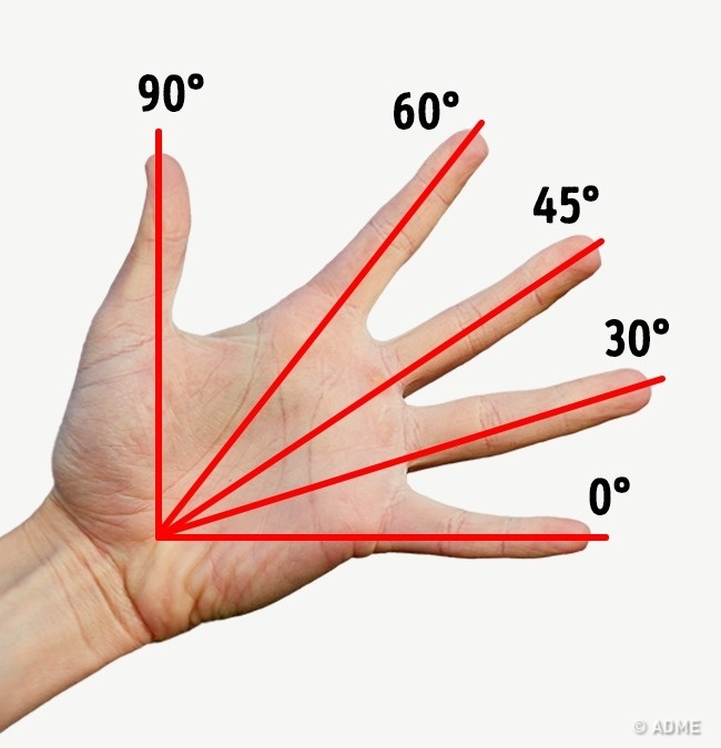 Узнать, сколько градусов в угле - Этим хитростям нас научили еще в школе, и они до сих пор работают