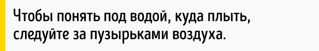 Как выбраться живым из тонущей машины