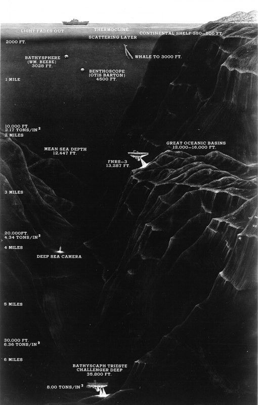 Марианская впадина (Марианский жёлоб) Mariana Trench