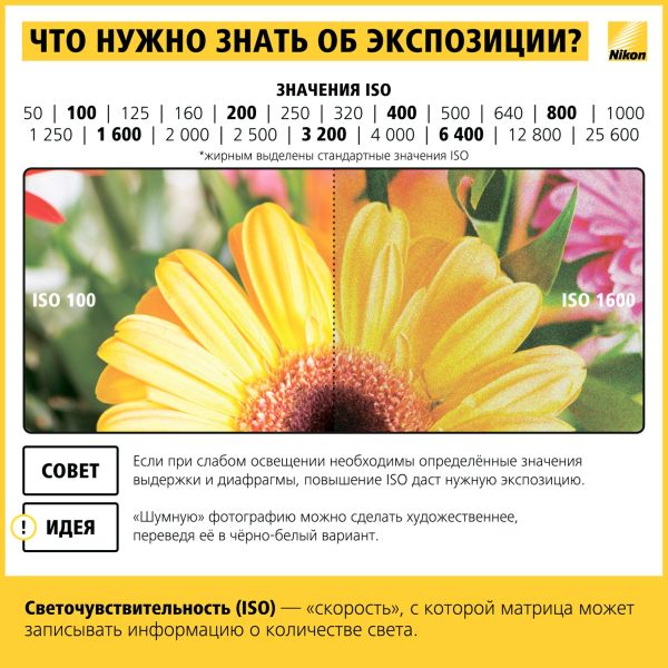 Шпаргалка начинающему фотографу Nikon