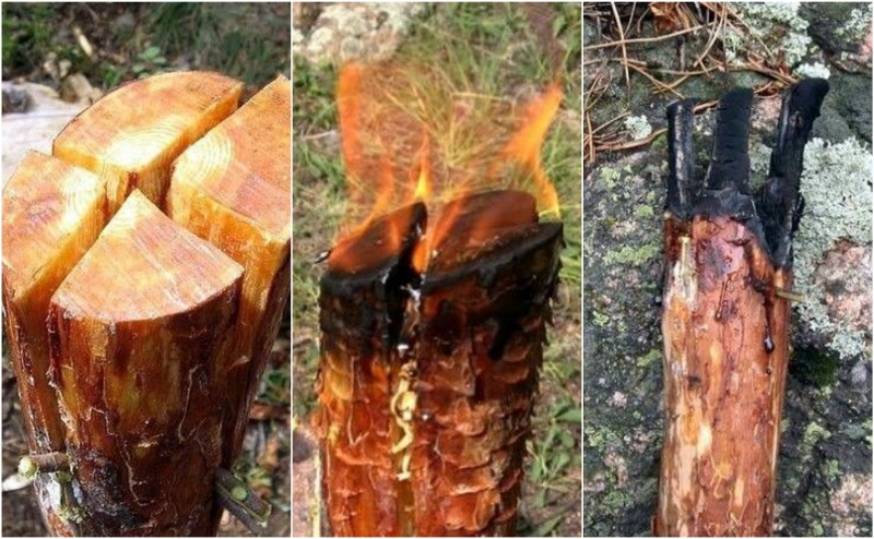 Как изготовить факел из сосны Как изготовить факел из сосны