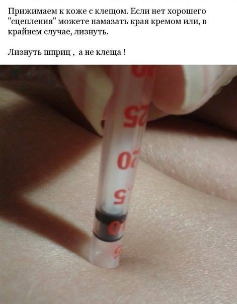 Что делать при укусе клеща - Один из способов вытащить клеща Что делать при укусе клеща - Один из способов вытащить клеща