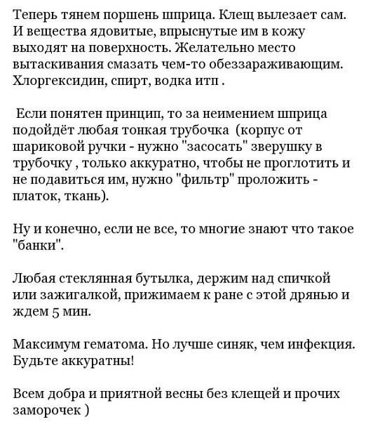 Что делать при укусе клеща - Один из способов вытащить клеща Что делать при укусе клеща - Один из способов вытащить клеща
